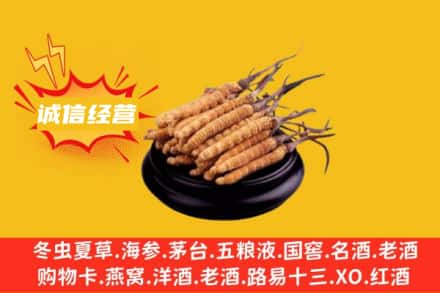 海南省琼中县回收冬虫夏草